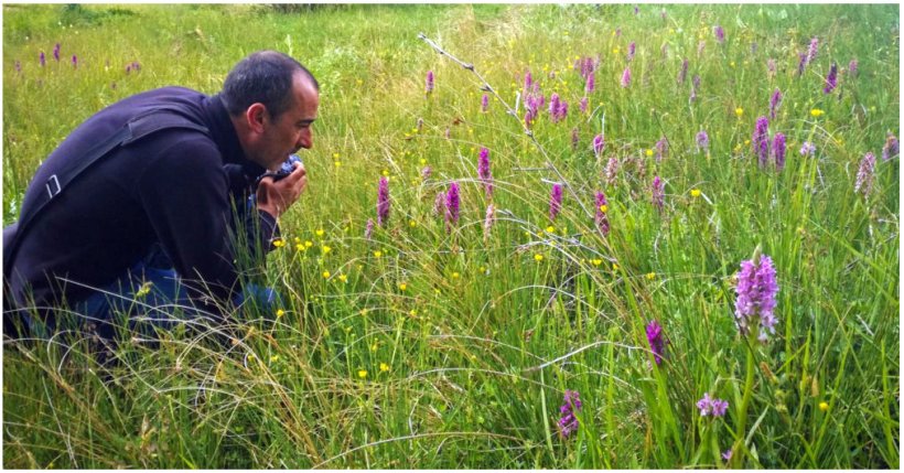 Prospección de campo (Orquideas)